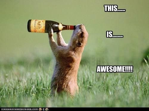 Prairie dog meme - this is awesome
