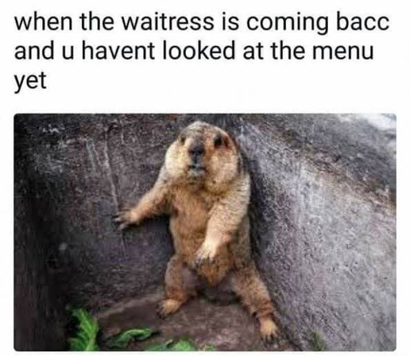 Prairie dog meme - when the waitress is coming bacc and u havent looked at the menu yet