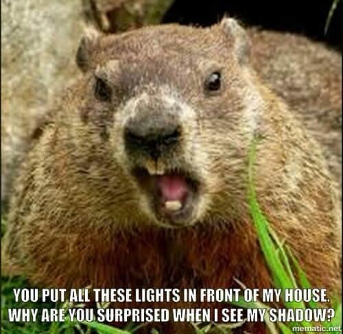 Prairie dog meme - you put all these lights in front of my house why are you surprised when i see my shadow
