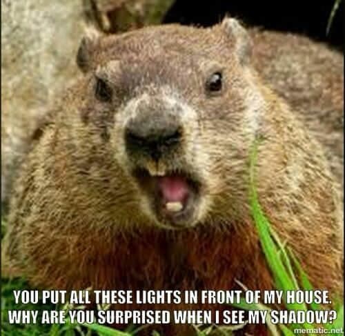 Prairie Dog Meme - You put all these lights in front of my house why are you surprised when I see my shadow