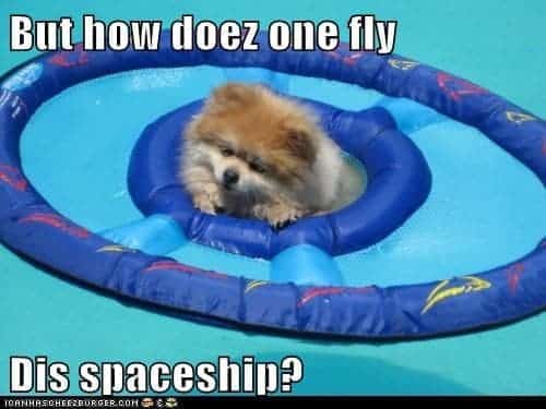 Pomeranian meme - but how doez one fly dis spaceship