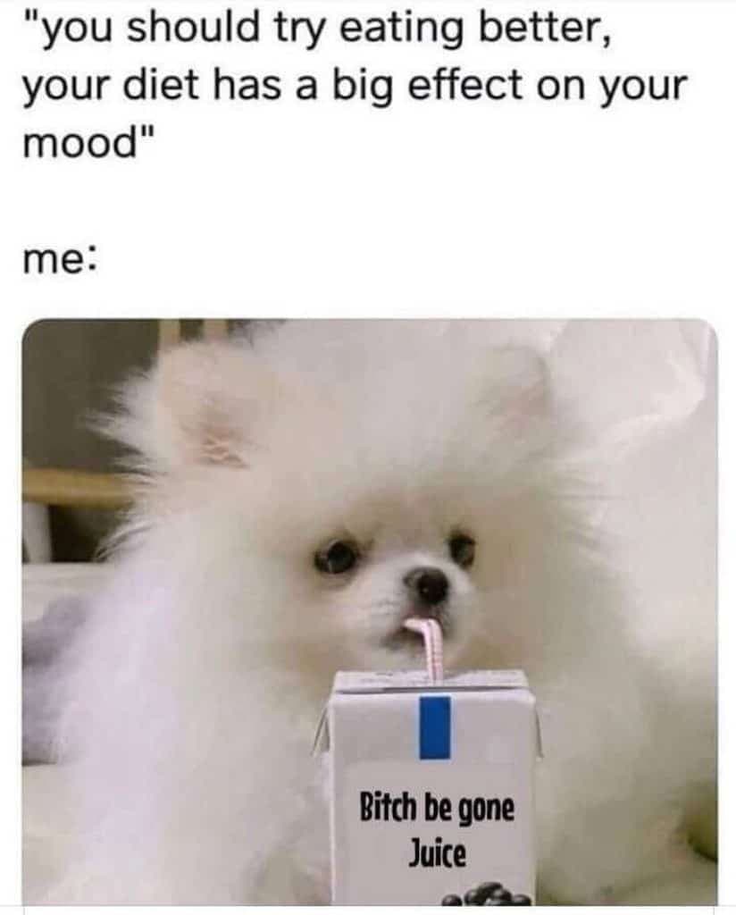 Pomeranian meme - you should try eating better, your diet has a big effect on your mood. Me bitch be gone juice