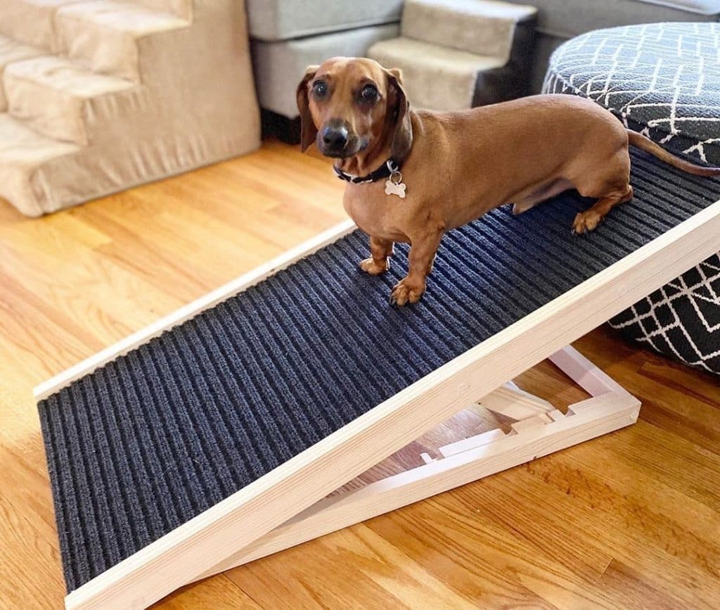 Adjustable Dog Ramp Reviews: A Pet Parent Guide