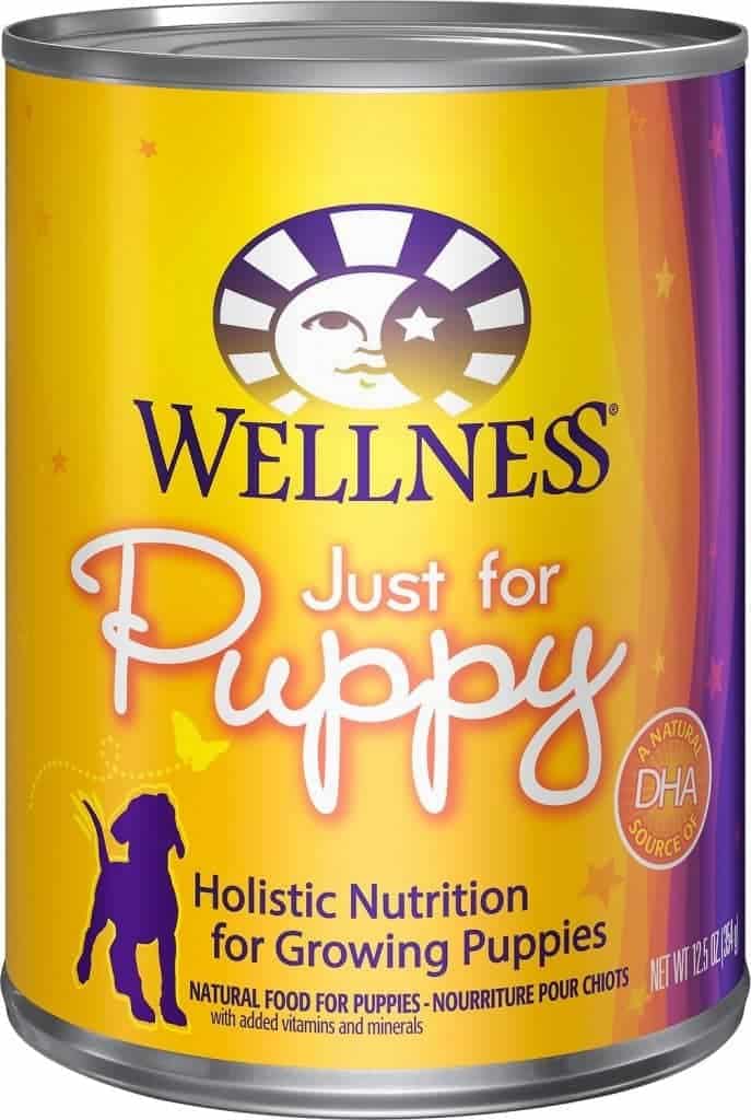 Best canned dog food brands reviewed by veterinarians