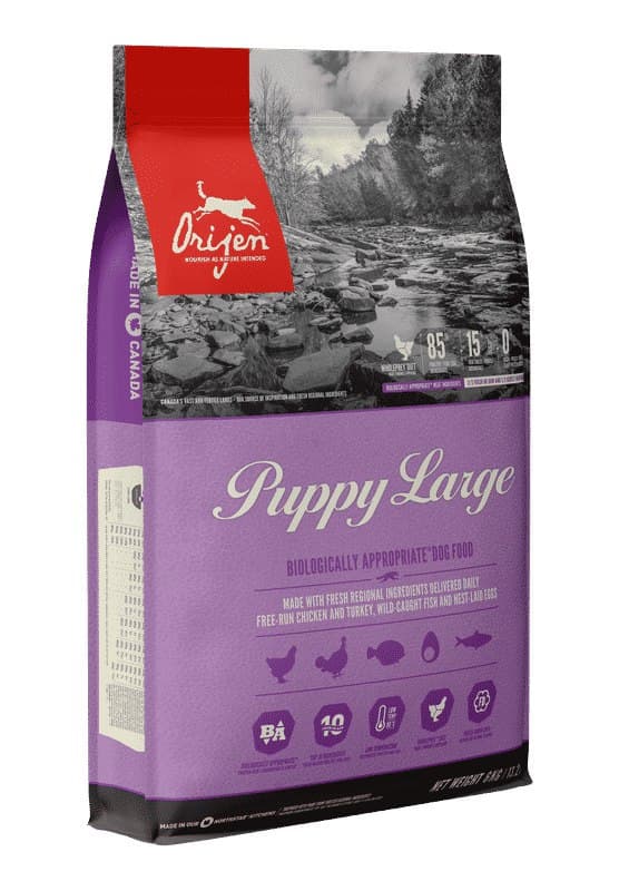 Best Dog Food for Pit Bulls: A Complete Review