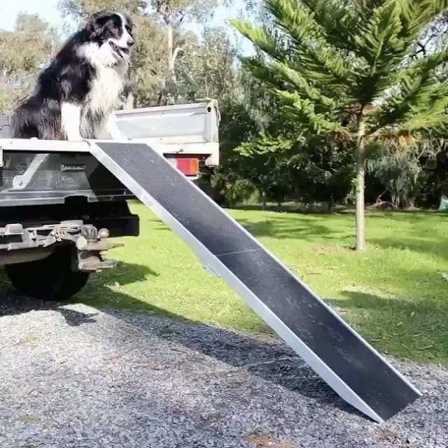 Wide Folding Dog Ramp And Large Dogs That Have Problems Getting In And Out Of Minivans Compact And Portable Small Perfect For Old 