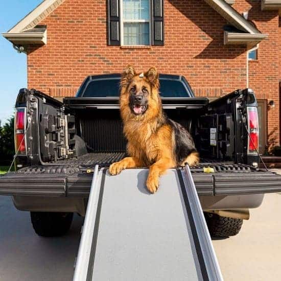 Best dog ramp for a truck: a buying guide for pet parents