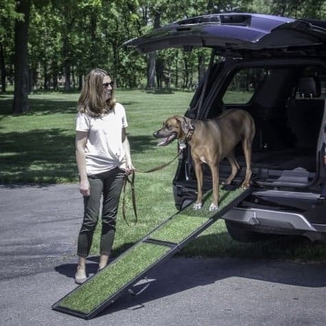 Best dog ramp for a truck: a buying guide for pet parents