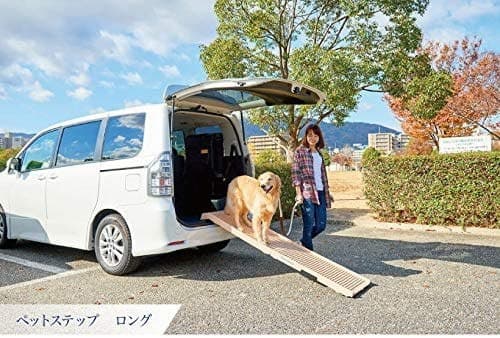 Best Dog Ramp for a Truck: A Buying Guide for Pet Parents