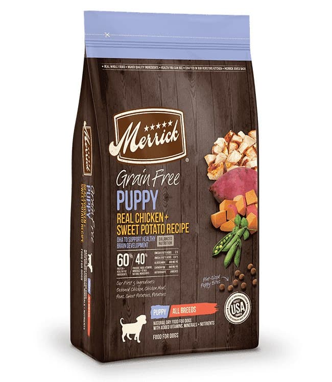 Best dry dog food: an in-depth review