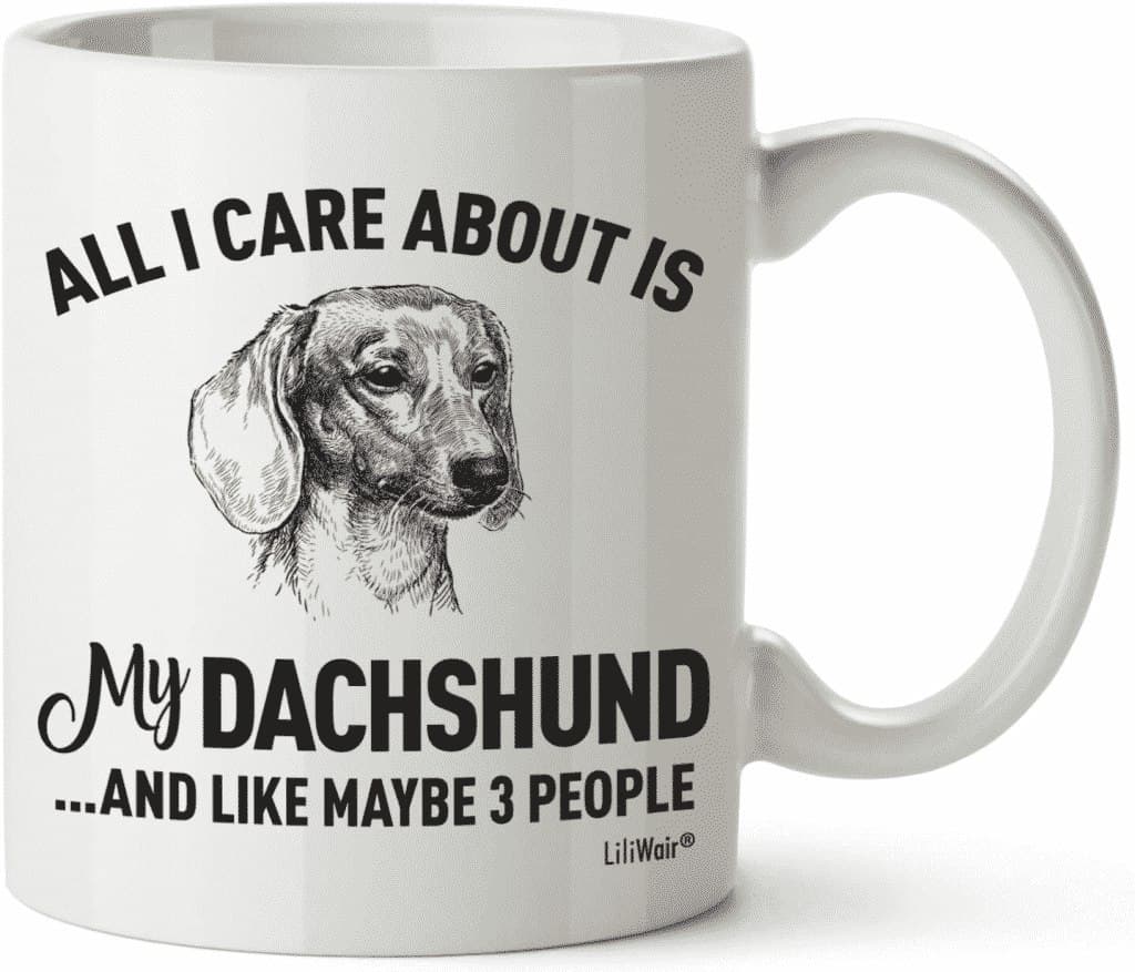 Ideal Present/Gift I Am Not Just a Dog Person I'm a Dachshund Daddy Keyring 