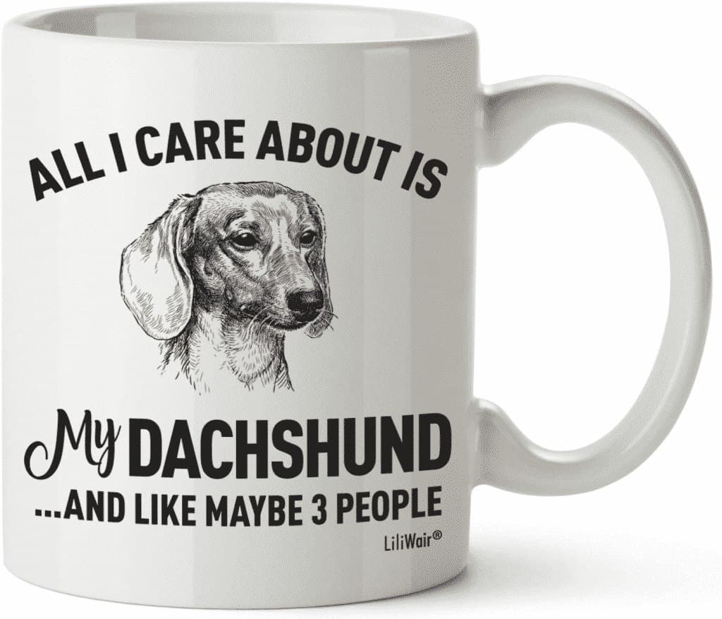 Dachshund Gifts: Surprise Your Doxie Loving Human!