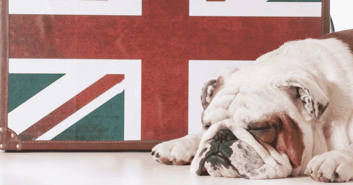 Top 10 worst uk dog food brands