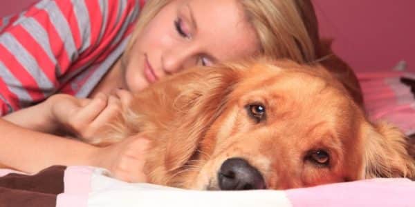 Does Your Dog Sleep On Your Bed? Here's What You Need To Know!