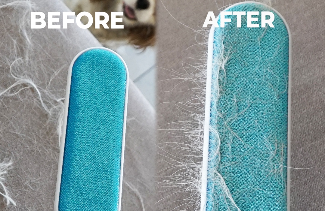 Creative uses for your dog's fur!