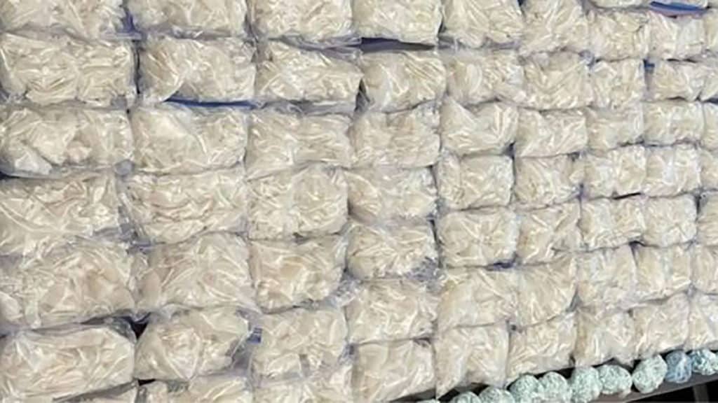 Highway Patrol Dog Apis Sniffs Out 81 Pounds of Meth and Drugs