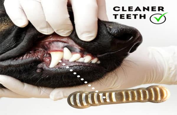 Cleaner teeth dental