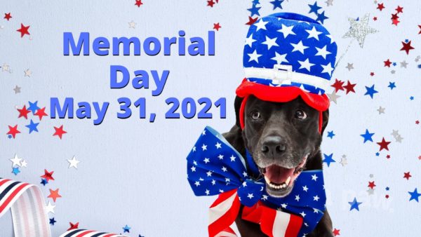 Celebrate memorial day 2021 with these alpha paw products