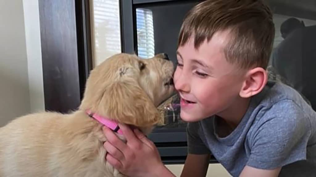 Minnesota boy without a leg finds best friend in golden retriever puppy born without paw