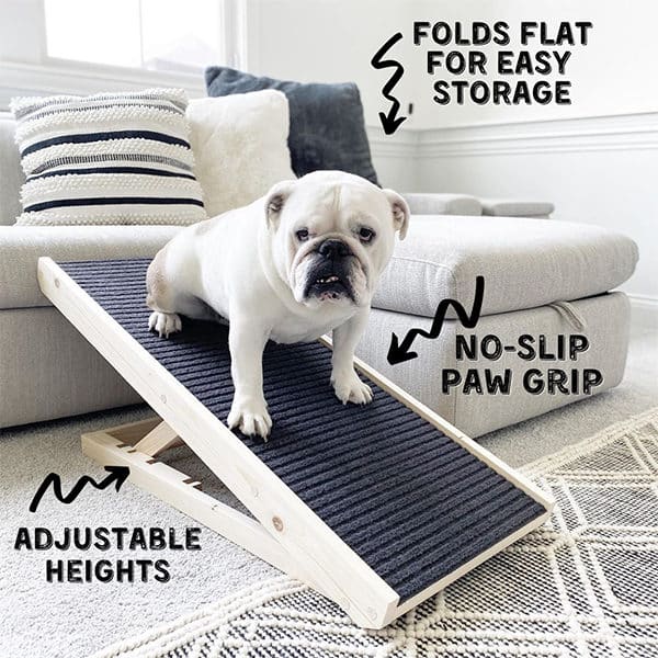 Adjustable dog ramp for puppy