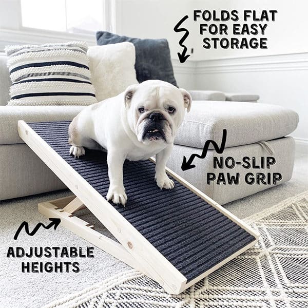 Adjustable Dog Ramp For Puppy