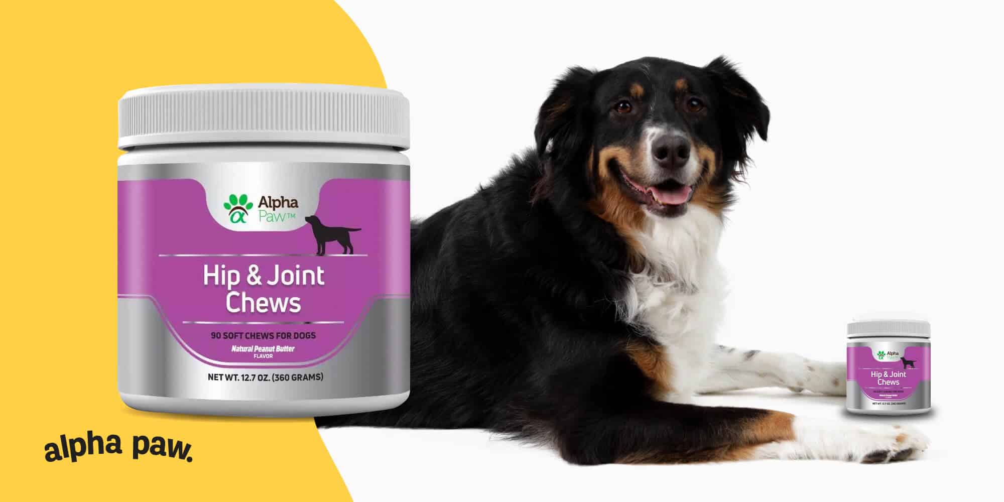 12 reasons to choose alpha paw’s hip and joint chews for dogs