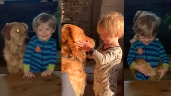Family dog gives heartwarming hug to his human buddy!