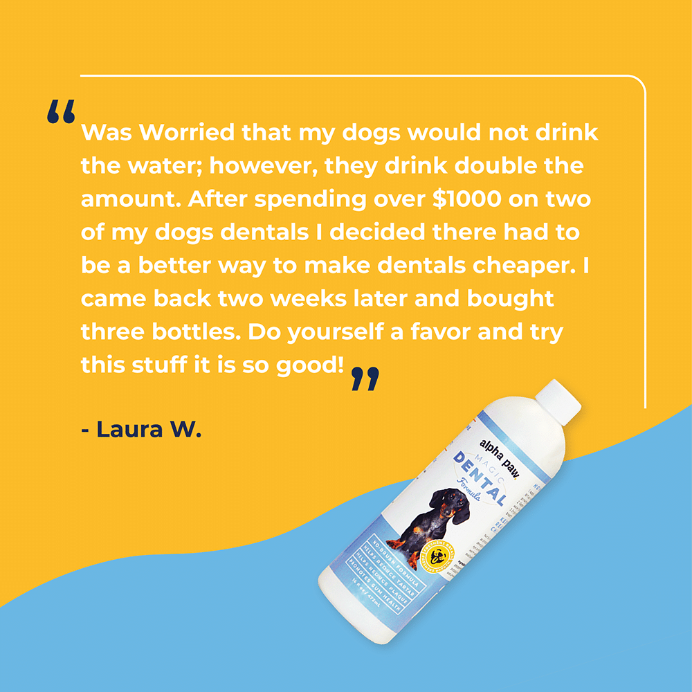 Magic Mouthwash™ For Dogs Alpha Paw