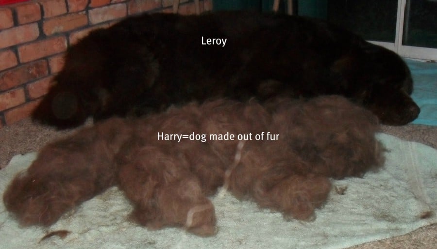 You can make another dog just from their fur... Literally