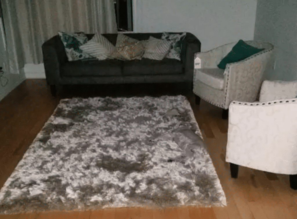 These 10 dogs are competing for hide & seek champion
