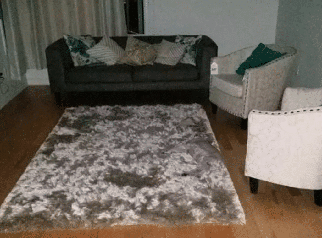 These 10 Dogs Are Competing For Hide & Seek Champion