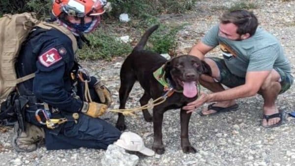 An Amazing Animal Story: A Dog Survives 70 Foot Fall, Saved By A Miracle!