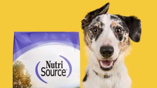 Nutrisource dog food review is it right for every dog