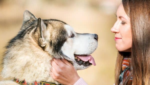 August 10th Is National Spoil Your Dog Day!