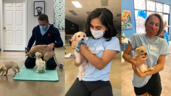 Alpha Paw Sponsors Save An Angel’s Happy Tails Yoga