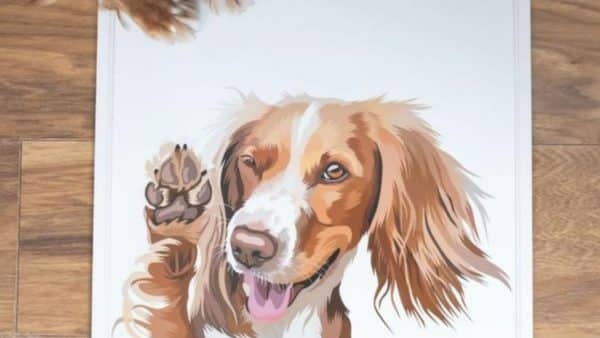 5 tips for getting the best custom pet portrait