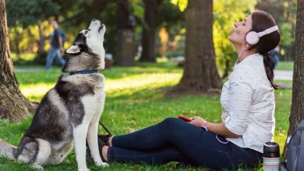 Why is my dog howling? Causes, treatment, and prevention