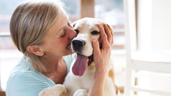 Contagious dog diseases: a pet parent guide
