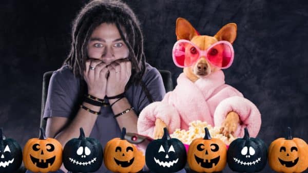 10 Scary Halloween Dog Movies For Dog Lovers to Watch with Canine Friends