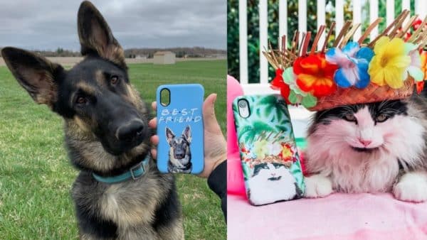 Dog Mom Gift Guide Perfect Ideas For The Dog Lover In Your Life