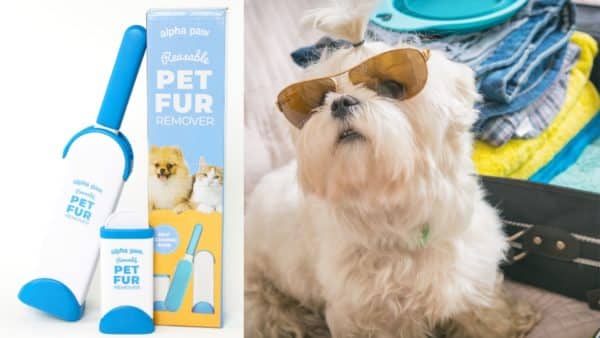 Alpha Paw Tips: 5 Ways to Use the Magic Fur Remover