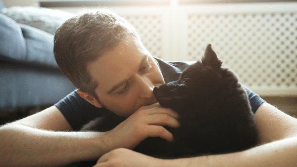 Schipperke dog breed guide: facts, health and care