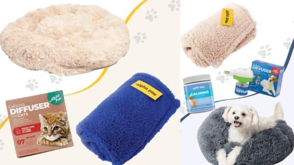 Best Christmas Gift Ideas For Pet Owners