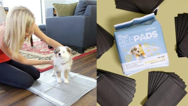 5 ways to use the magic pee pads: take care of pet accidents and more!