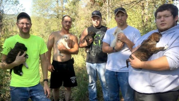 A bachelor party turns into a search and rescue for puppies