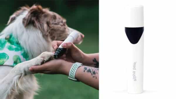 The pet nail grinder turns the nightmare of trimming dog nails into a dream