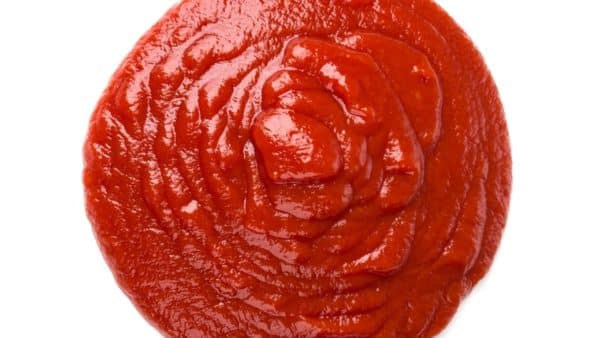 Can dogs eat tomatoes? Our vet weighs in