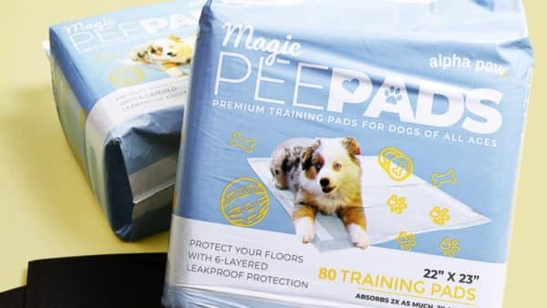 5 Ways to Use the Magic Pee Pads: Take Care of Pet Accidents and More!