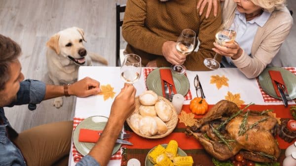 10 thanksgiving foods that are bad for your dog