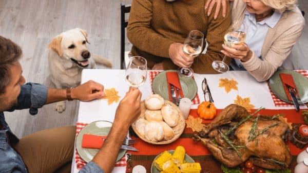 10 Thanksgiving Foods That Are Bad For Your Dog